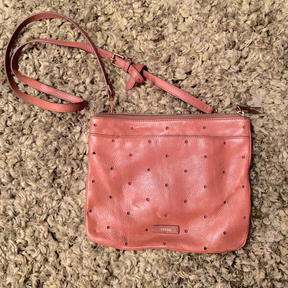 Fossils bag